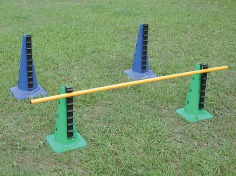 HURDLE CONES